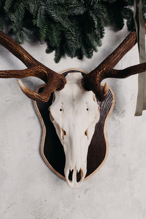 Christmas and New Year concept. Concept made of Deer skulls. Minimal winter holidays idea.の写真素材