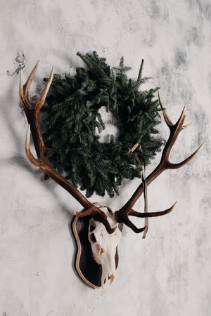 Christmas and New Year concept. Concept made of Deer skulls. Minimal winter holidays idea.の写真素材