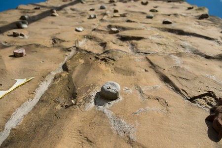 Climbing upの写真素材