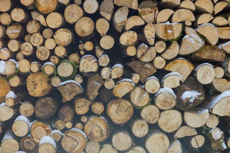 Woodpile from dry round fire wood in winter timeの写真素材
