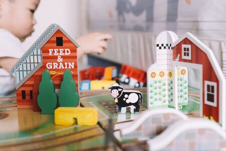 Toddler boy playing farm toy in a roomの写真素材