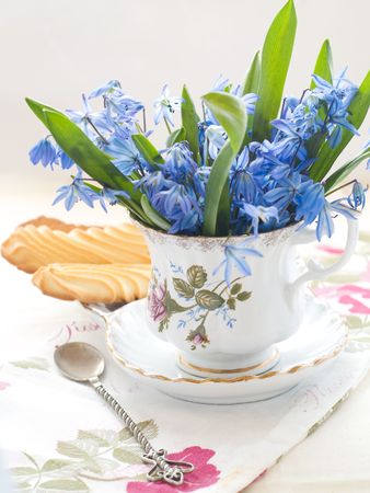 Spring flowers in a tea cup and cookiesの写真素材