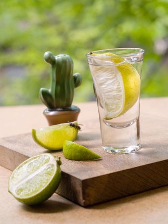 Tequila shot with slice of lemon, salt and limeの写真素材