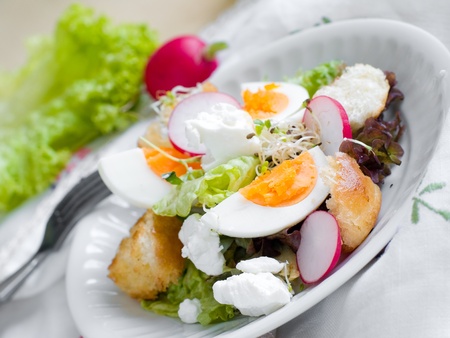 A fresh and light salad with egg and sproutsの写真素材