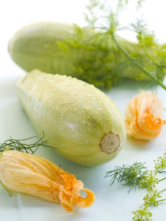 Zucchini with zucchini flower on background. Selective focusの写真素材