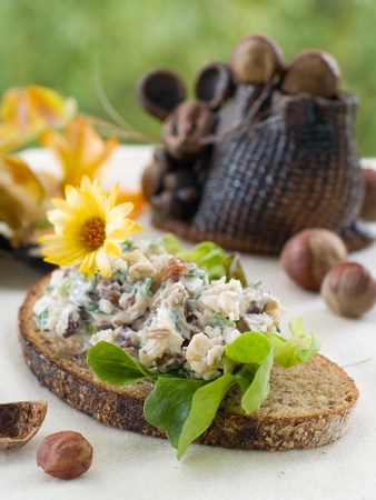 Bread with vegetable salad. Selective focusの写真素材