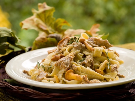 Tagliatelle with chanterelle, parmesan and thyme. Selective focusの写真素材