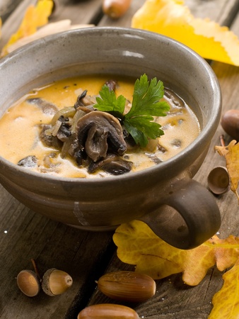 A cup of fresh mushroom soup.  Selective focusの写真素材