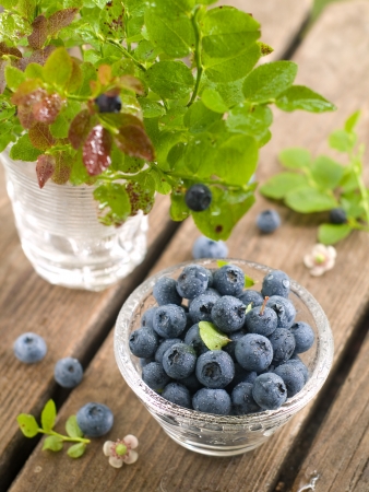 Wet blueberries in glass bowl, selective focusの写真素材