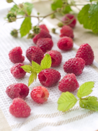 fresh raspberry on light background, selective focus