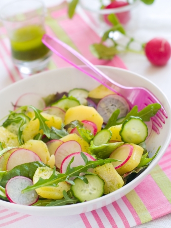Fresh salad with cucumber, radishes and potatoes, selective focusの写真素材
