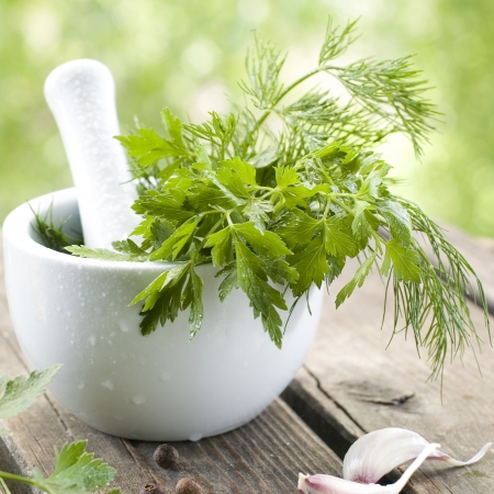 Fresh herbs in the pestle, selective focusの写真素材