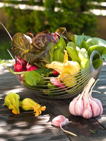 Fresh different vegetables in bowl on natural background , selective focusの写真素材