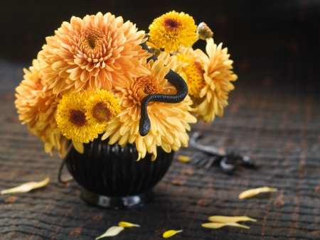 Still life with autum flowers and snail for Halloween, selective focusの写真素材