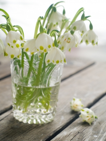 Bouquet of snowdrops in glass, selective focusの写真素材