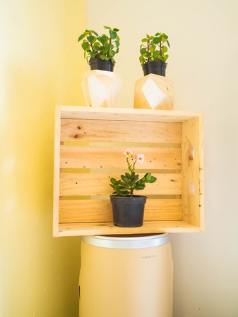 Flowers in wooden boxの写真素材