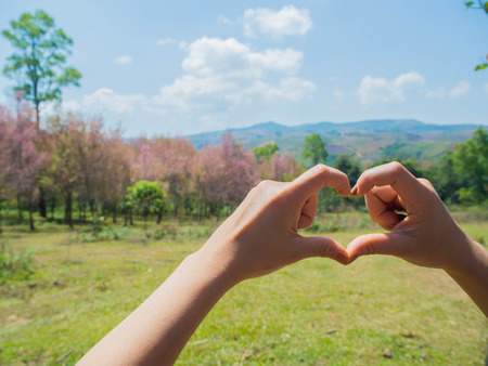 Female hands shaping a heart symbol on mountain backgroundの写真素材