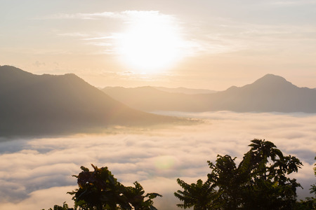 mist and mountain, fog and cloud mountain valley landscape. morningの写真素材