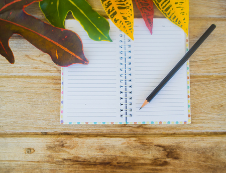 Top view open blank notebook, notebook and pencil on wooden background, business concept.の写真素材