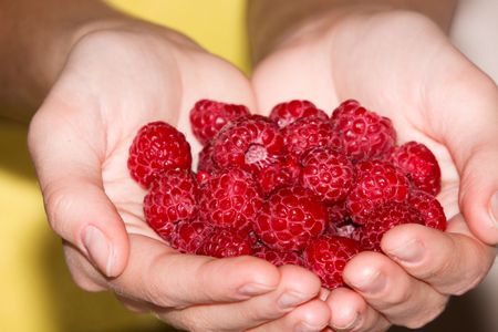 This is a close-up of the raspberries.