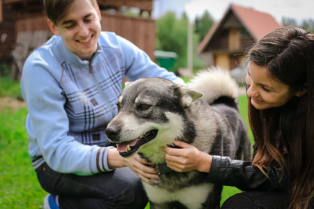 Young people playing with a dogの写真素材