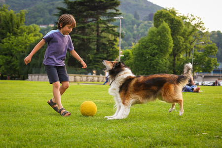 Young boy playing with a collie dog in the park with a ballの写真素材
