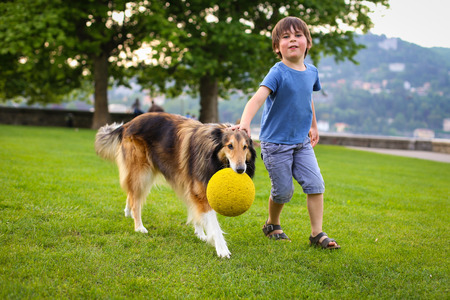 Young boy playing with a collie dog in the park with a ballの写真素材