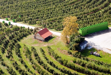 View on the orchard and the farm from above.の写真素材