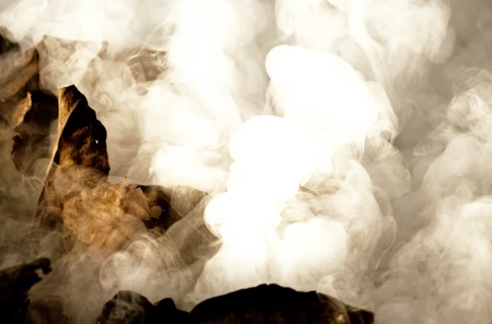 White smoke of the burning, wet, autumn leaves.の写真素材
