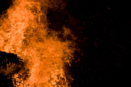 Closeup of the blazing fire of dry forest.の写真素材