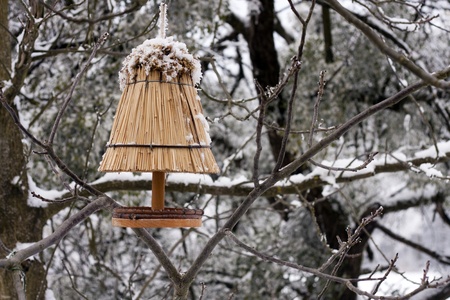 Bird house on the tree in winter time.の写真素材