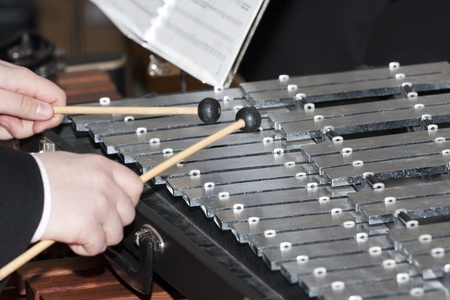 Close up of the musician playing on xylophone.の写真素材