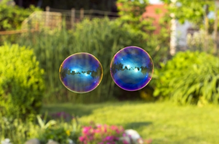 Pair of soap water bubbles の写真素材