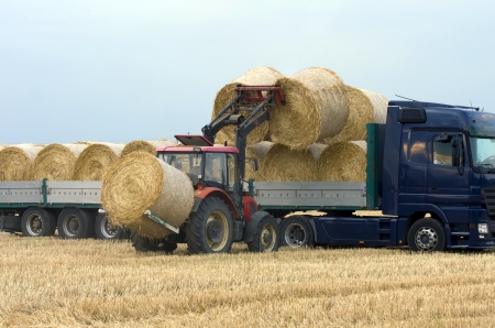 Tractor loading hay on the cargo truck.の写真素材