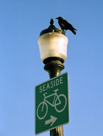 guide-post with a bird and "seaside" inscriptionの写真素材