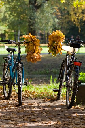 two bicycles with yellow maple wreathes on handlebars on fall garden backgroundの写真素材