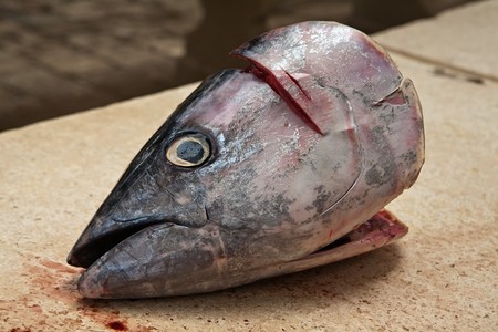 cut head of big fish on market counterの写真素材