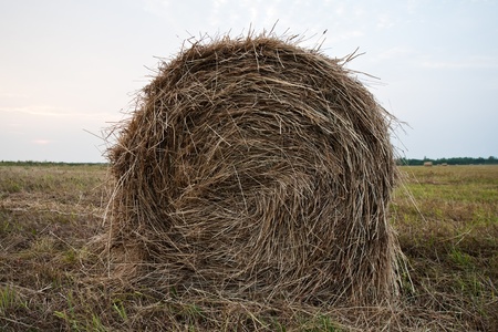 hay stack closeup on the meadow and sky background