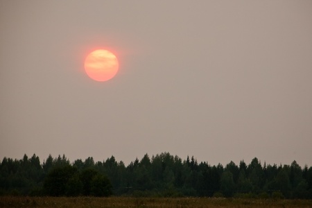 evening red sun above forest trees on grey sky backgroundの写真素材
