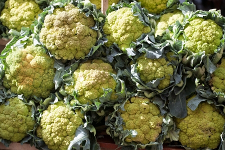 closeup of green cauliflowers on the market tableの写真素材
