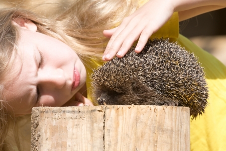 little girl looking at funny hedgehog, side view の写真素材