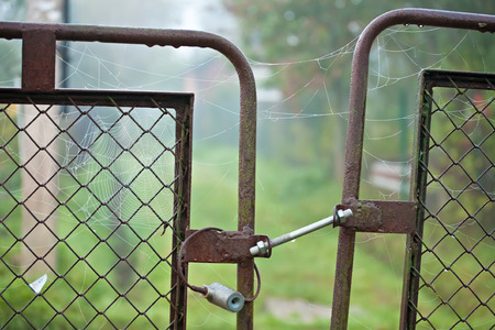 old rusty gate with closed lock and spider web on it
