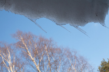 spring icicles hanging on the roof on spring blue sky and birch trees backgroundの写真素材
