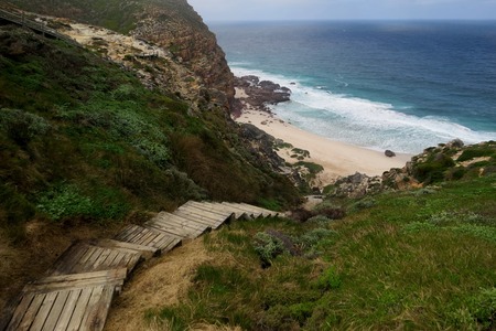 Wooden ladder leading on a wild beachの写真素材