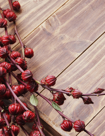 Red exotic flowers on a wooden background, selective focusの写真素材
