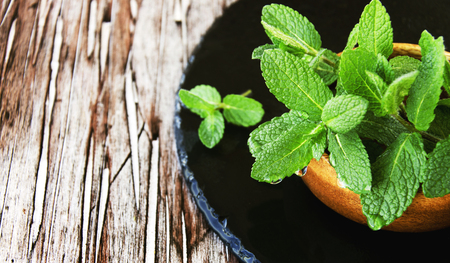 Fresh mint in a wooden bowl on the coal board, selective focusの写真素材