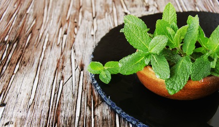 Fresh mint in a wooden bowl on the coal board, selective focusの写真素材