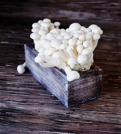 white Chinese mushrooms on a wooden background in rustic box, selective focusの写真素材