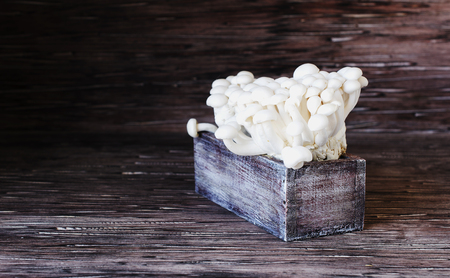 white Chinese mushrooms on a wooden background in rustic box, selective focusの写真素材