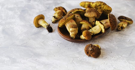 wild forest mushrooms in a wooden box on a white marble table, selective focusの写真素材